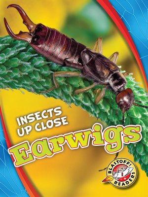 cover image of Earwigs